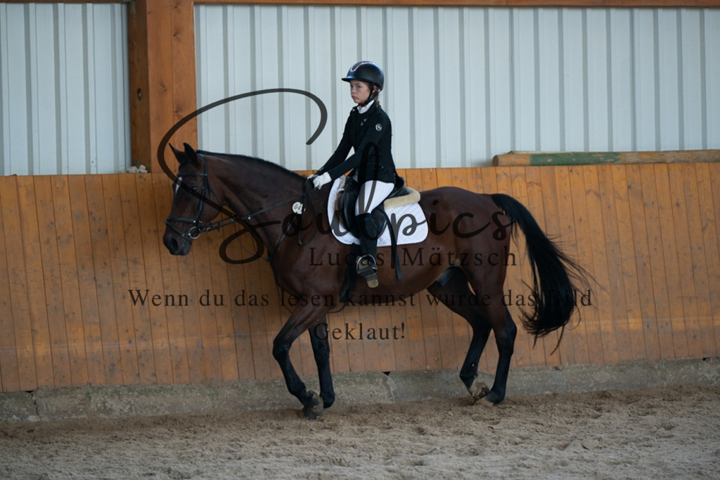 A7V02055 | Turnier/Reitfotograf