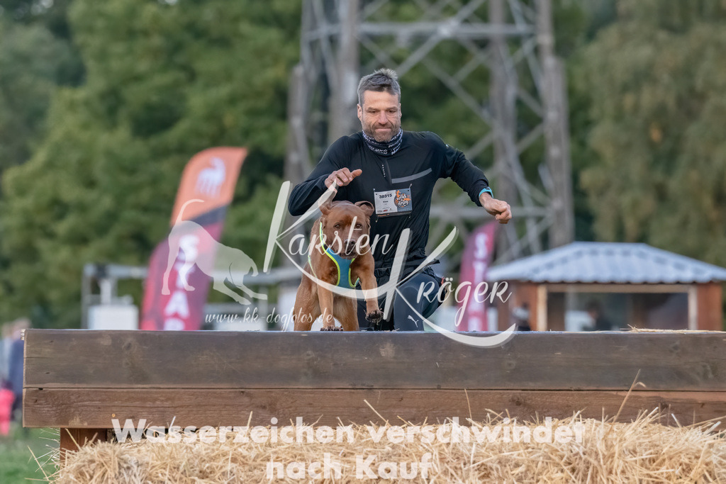 0802_ZZ93967-Bearbeitet | kk-dogfotos