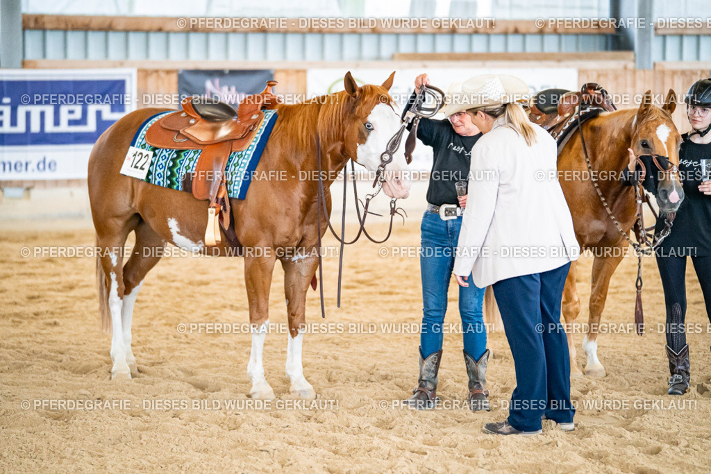 DSC09382 | Pferdegrafie