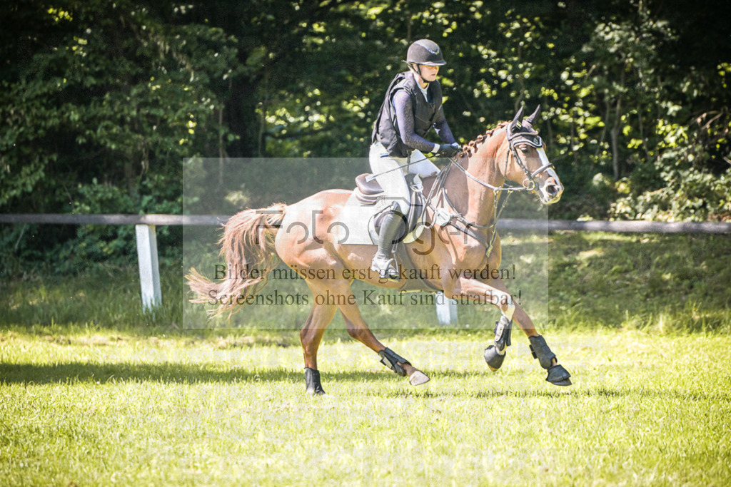 DOS_4194 | Entdecke hochwertige Reitturnierfotos von Foto Oger. Professionell, emotional und authentisch – jetzt Lieblingsmomente im Shop bestellen.Deutschlandweite Turnierfotografie. - Realisiert mit Pictrs.com