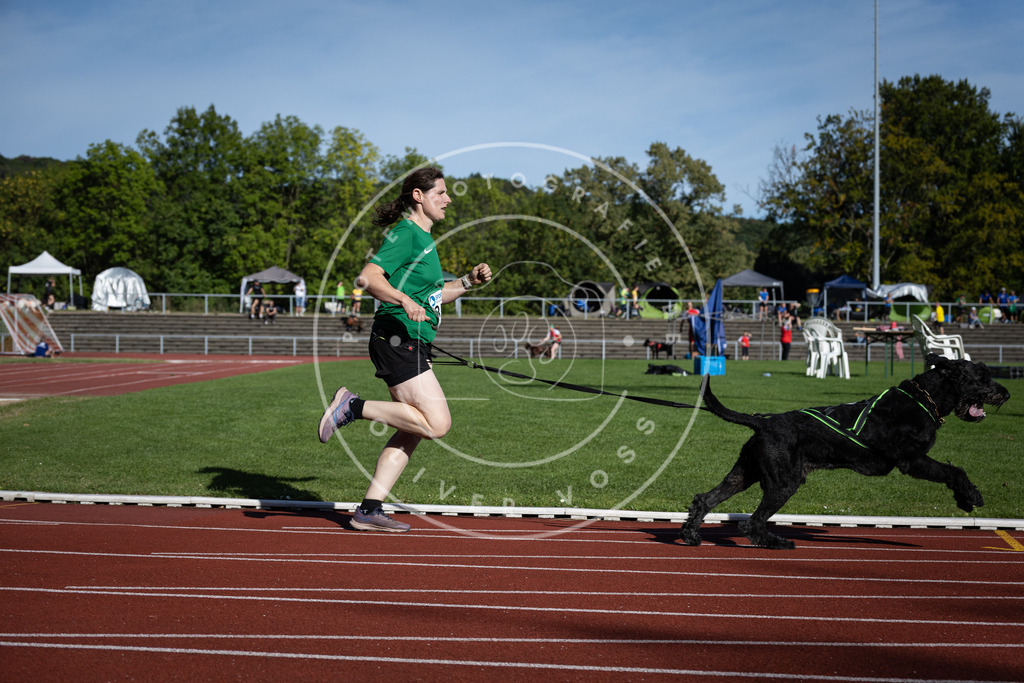 Pfotenfotografie_DV3A9275 | Hundefotografie, Tierfotograf, Pfotenfotografie, Fotoshooting Hund, Hunde Portrait, Hundesport, Hundeportraits, Heideshooting, Hunde, Sportfotograf, Hundefotograf, Turnierhundsport, THS,  - Realisiert mit Pictrs.com