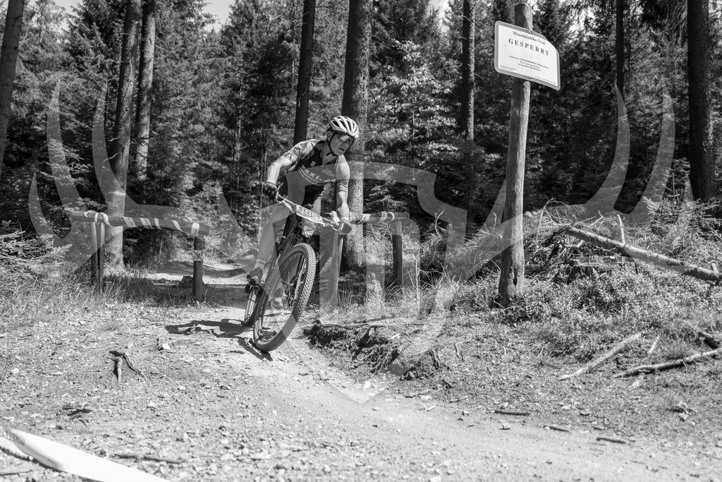 L1010726 | Fotogalerie der Treibjagd im Dunkelwald - Dein MTB Etappenrennen im Erzgebirge - Realisiert mit Pictrs.com