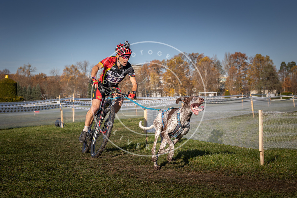 CaniXpix_0L8A5209 | Hundefotografie, Tierfotograf, Pfotenfotografie, Fotoshooting Hund, Hunde Portrait, Hundesport, Hundeportraits, Heideshooting, Hunde, Sportfotograf, Hundefotograf, Turnierhundsport, THS,  - Realisiert mit Pictrs.com
