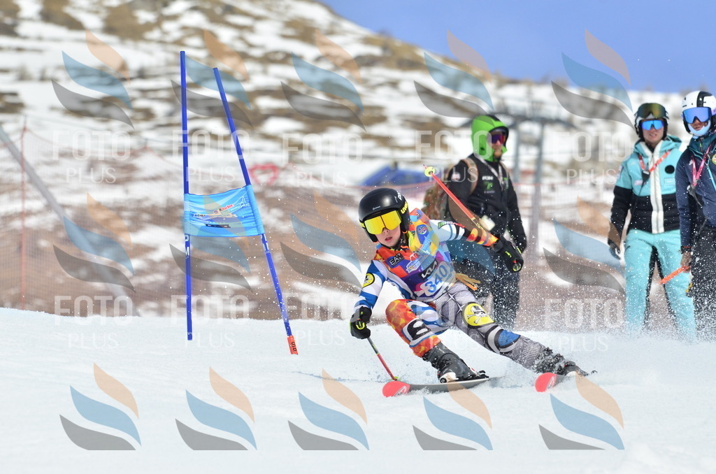 _ELE2540 | holidayphoto