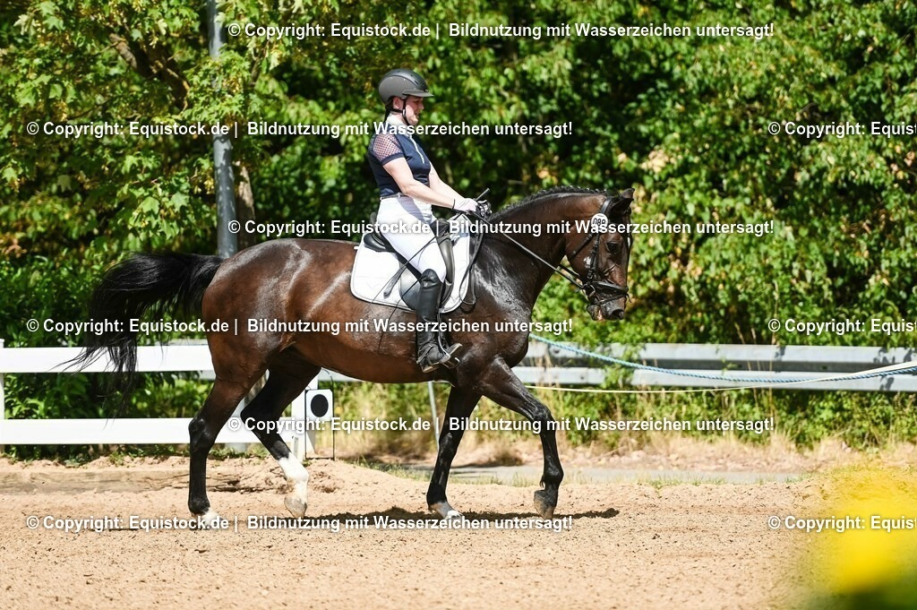 20230715_02_Dressurreiterprüfung Kl.L_0104 | equistock