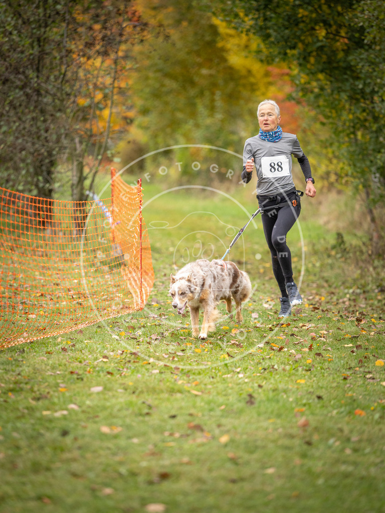 Pfotenfotografie_DV3A3213 | Hundefotografie, Tierfotograf, Pfotenfotografie, Fotoshooting Hund, Hunde Portrait, Hundesport, Hundeportraits, Heideshooting, Hunde, Sportfotograf, Hundefotograf, Turnierhundsport, THS,  - Realisiert mit Pictrs.com