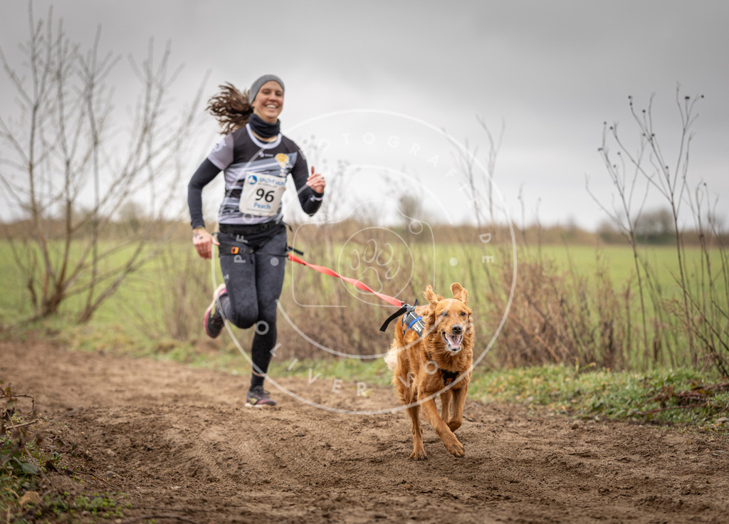 DV3A0114 | Hundefotografie, Tierfotograf, Pfotenfotografie, Fotoshooting Hund, Hunde Portrait, Hundesport, Hundeportraits, Heideshooting, Hunde, Sportfotograf, Hundefotograf, Turnierhundsport, THS,  - Realisiert mit Pictrs.com