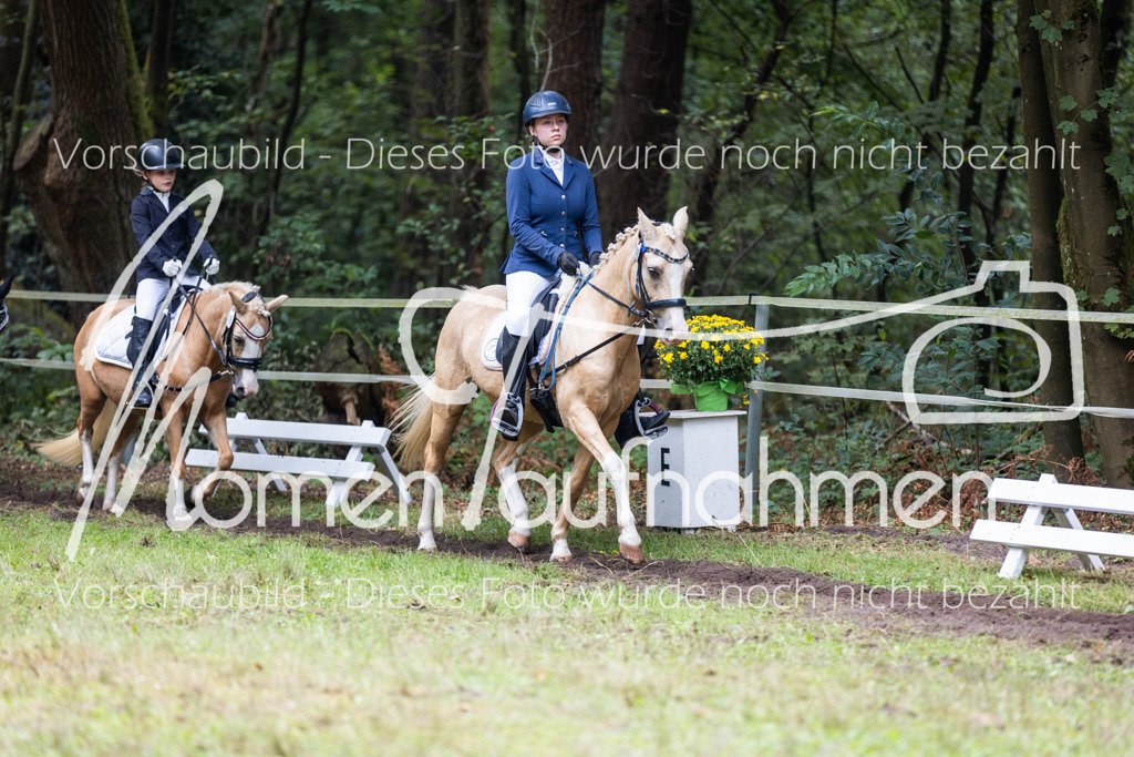 HB-Reiter-WB-050 | MomenTaufnahmen Pferdesportfotos