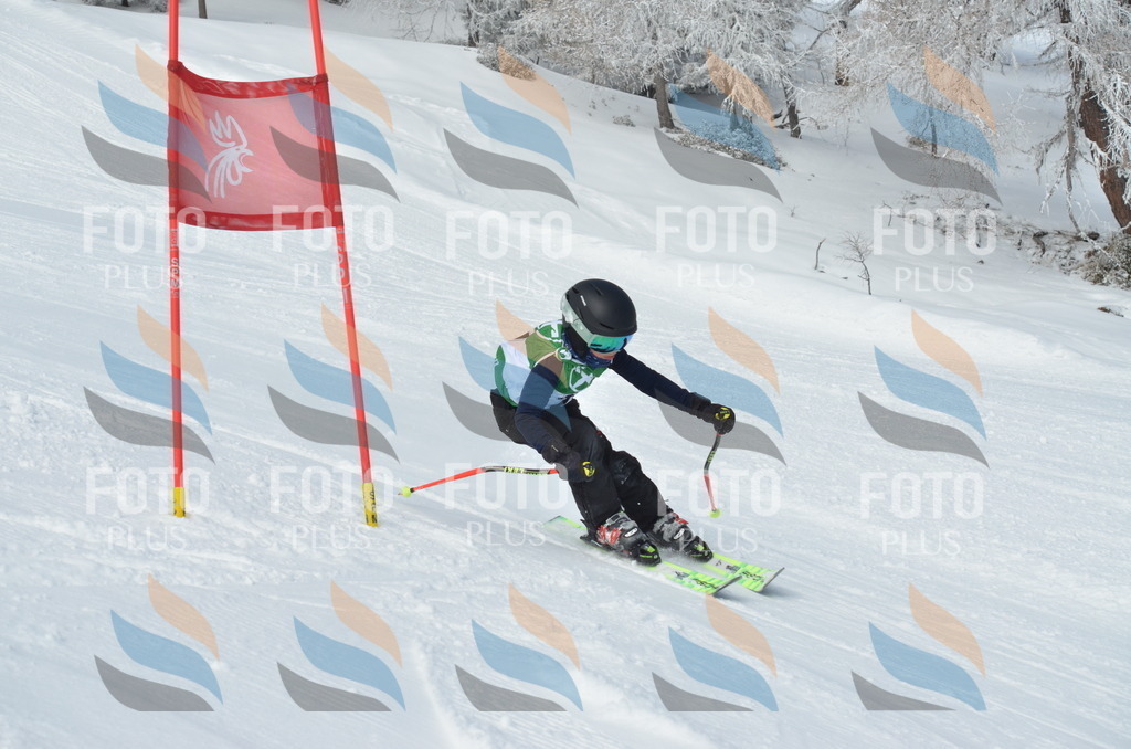 D8586 | holidayphoto