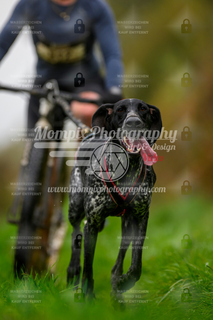 MompixPhotography_20TSB_E8_DS1-30 | PayLife