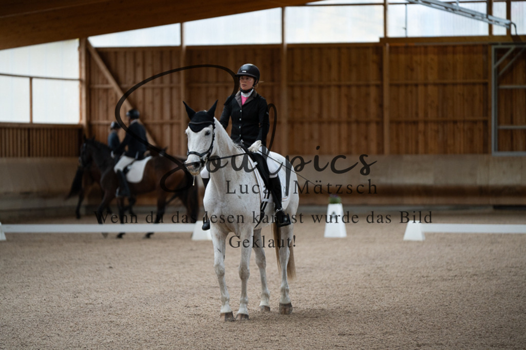 A7V02152 | Pferdefotograf