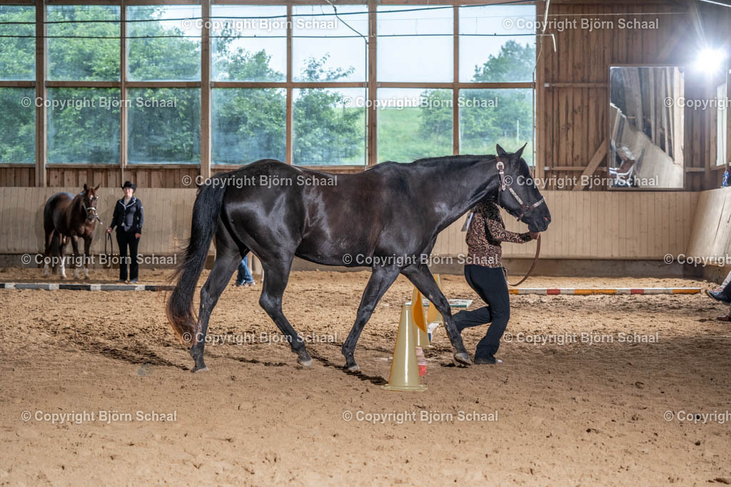SBS03894 | BS-foto