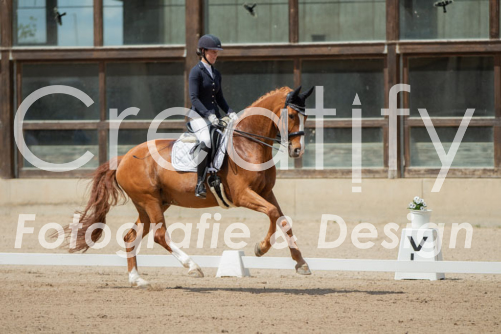 IMG_5724 | Creatify Fotografie