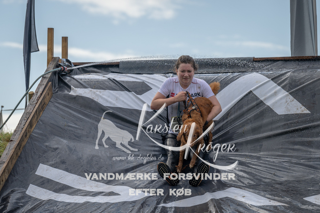 1109_ZZ92600 | kk-dogfotos