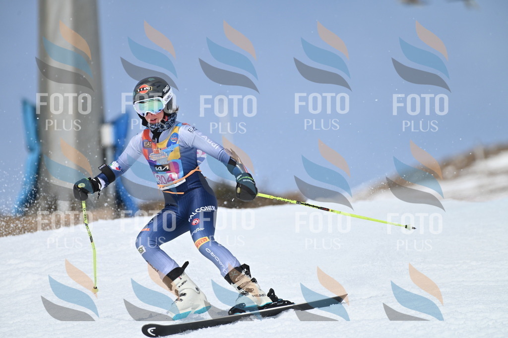 BGV_2830 | holidayphoto