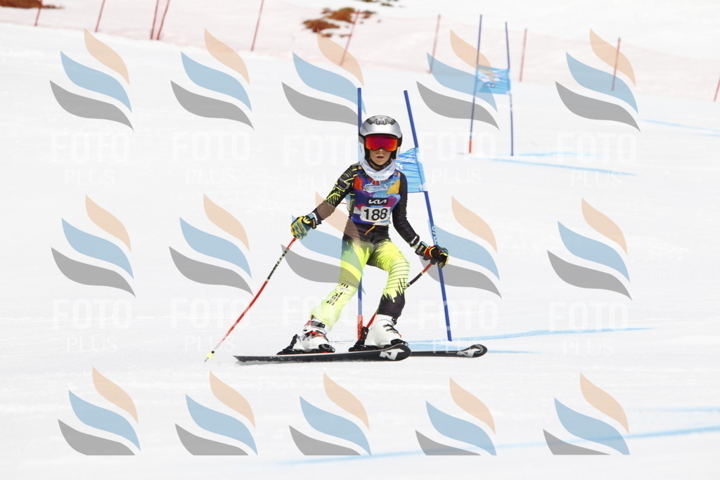 _U3G4928 | holidayphoto