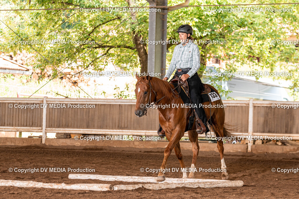 Erbach Tag 2-261 | dv-media-shop - Realisiert mit Pictrs.com