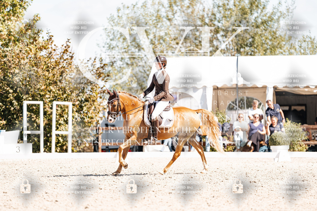 CK903705 | Turnierfotografie Pferdefotografie Trier Rheinland-Pfalz Pferdesport Reitsport Tierfotografie Sportfotografie Pferdevideo Pferdevideografie Equestrianvideography equestrianphotography  - Realisiert mit Pictrs.com