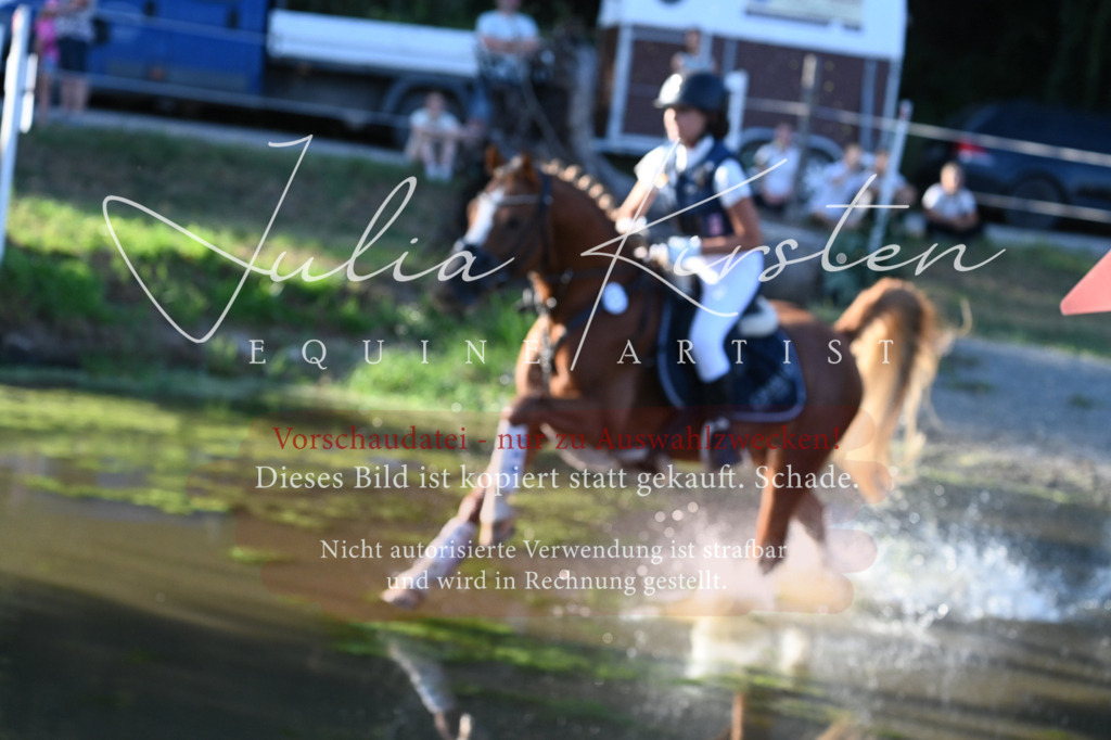 DSC_9088 | Pferde- und Turnierfotografie in Westsachsen. Pferdeportraits, Auftragszeichnungen und intuitive Kunst.