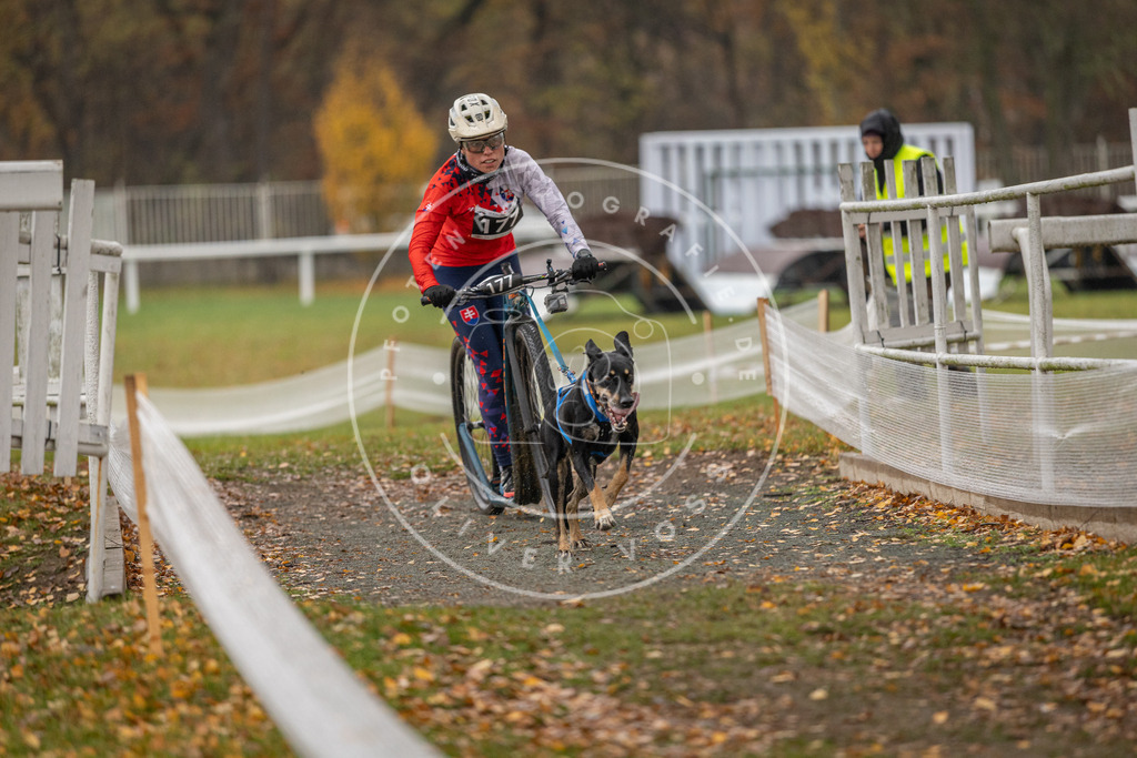 CaniXpix_DV3A8385 | Hundefotografie, Tierfotograf, Pfotenfotografie, Fotoshooting Hund, Hunde Portrait, Hundesport, Hundeportraits, Heideshooting, Hunde, Sportfotograf, Hundefotograf, Turnierhundsport, THS,  - Realisiert mit Pictrs.com