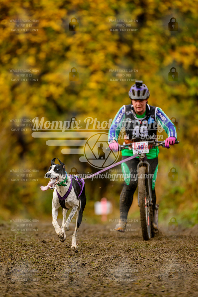 MompixPhotography_ICF_WC_2024_SA_DS_-116 | PayLife