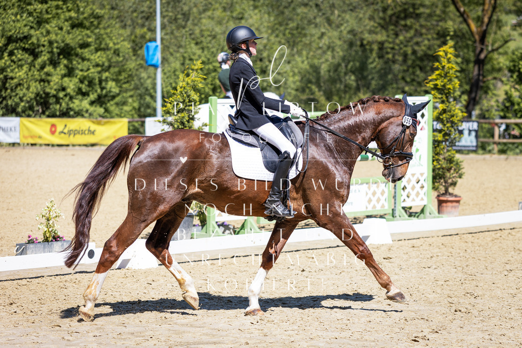 IMGS0935 | pl-fotografie