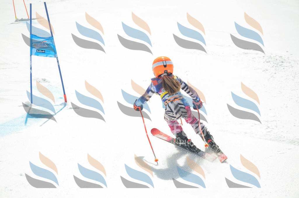 _ELE5319 | holidayphoto