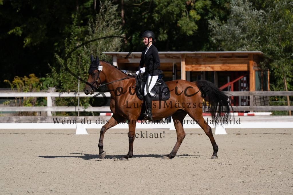 A7V06955 | Turnier/Reitfotograf