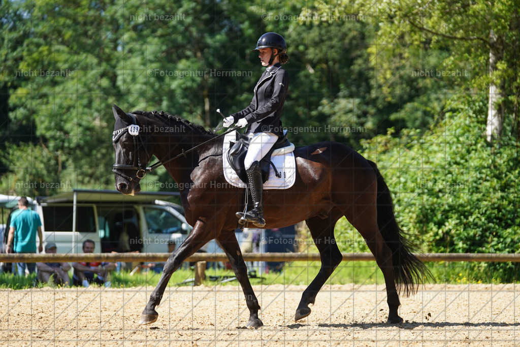 20240706-FAH04923 | Grafing Turnierfotos, Reitverein Ebersberg, Turnierfotografen Bayern, reitsportbilder, Pferdefotograf, reitsportfotograf, Sportbilder, Reitsportfotografie, Fotoagentur Herrmann, Turnierfotograf
