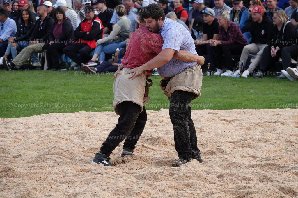 DSC02028 | Schwingen - Realisiert mit Pictrs.com