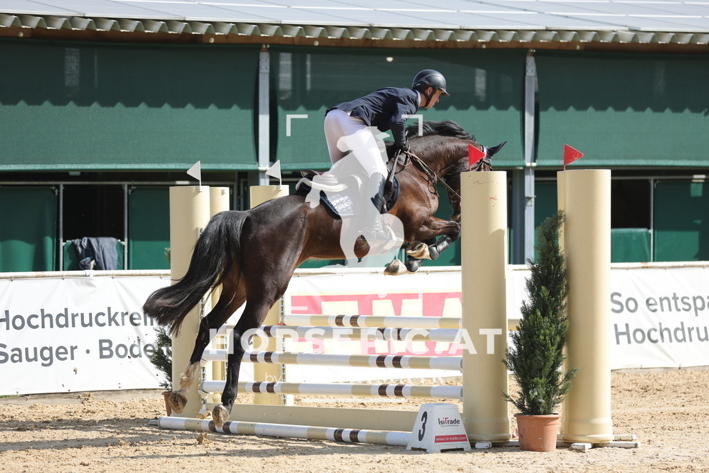 0P6A3184 | Willkommen bei Brunnmayr - Design & Fotografie – Ihrem Spezialisten für Reitturniere und Pferdeveranstaltungen in Oberösterreich, Salzburg und Bayern! Seit über 17 Jahren sind wir leidenschaftlich dabei.