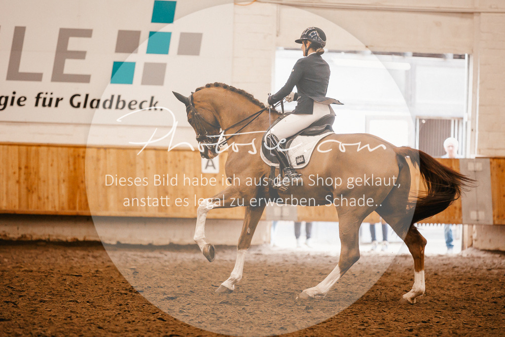 3I6A2541 | Stimmungsvolle Portraits und Reitsportfotografie im Ruhrgebiet und im Münsterland.

Pferdefotografie, Hundefotografie, Tierfotografie, Reportagen, Portraits von Tier und Mensch, Turnierfotografie in Bochum, Recklinghausen, Marl, Haltern am See, Dülmen.. - Realisiert mit Pictrs.com