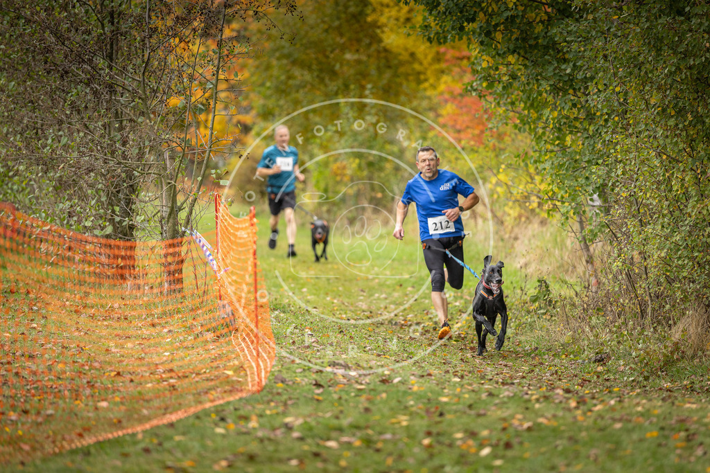 Pfotenfotografie_DV3A3943 | Hundefotografie, Tierfotograf, Pfotenfotografie, Fotoshooting Hund, Hunde Portrait, Hundesport, Hundeportraits, Heideshooting, Hunde, Sportfotograf, Hundefotograf, Turnierhundsport, THS,  - Realisiert mit Pictrs.com