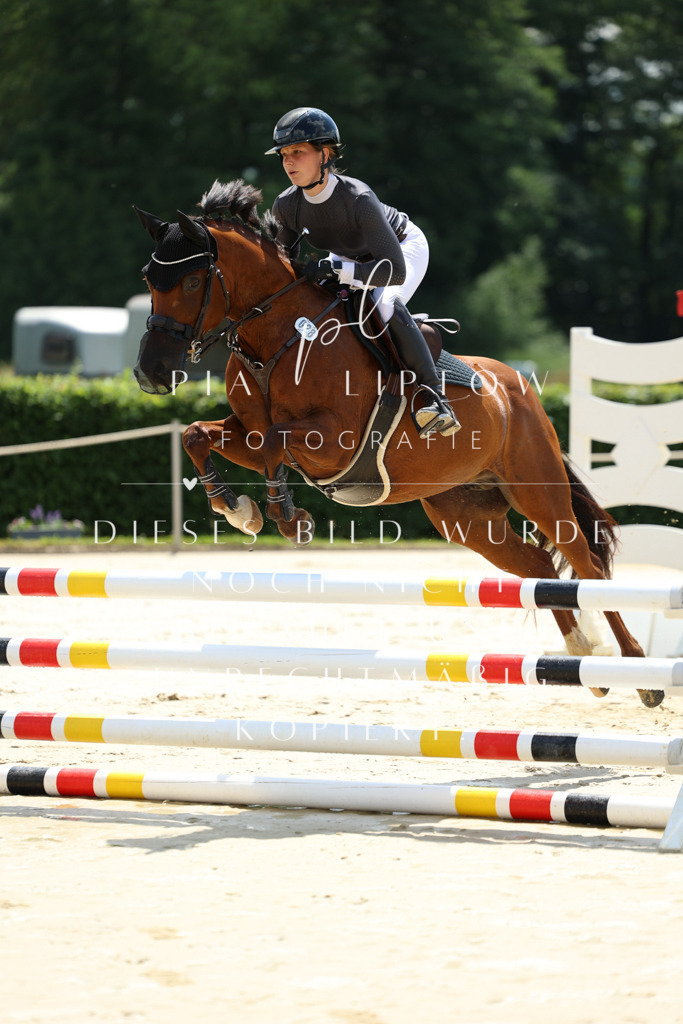 IMGM1627 | pl-fotografie