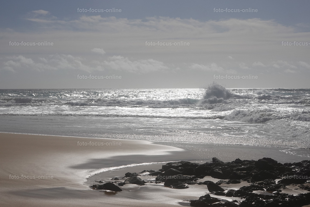 waves | Elemental power of the waves