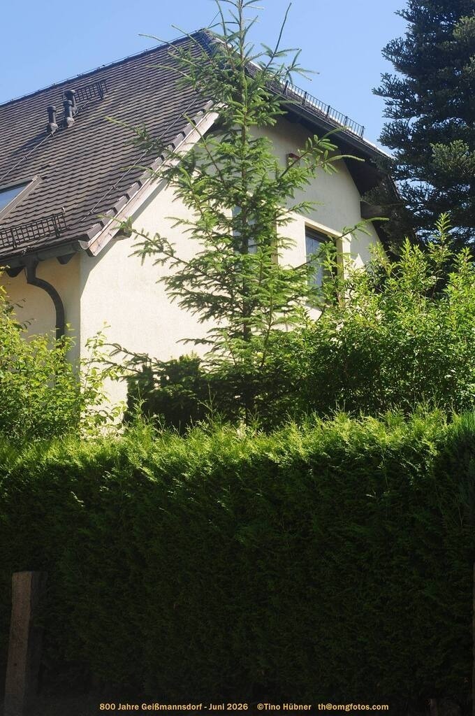 Geißmannsdorf-2026-Ortsbilder-661 | Geißmannsdorf bei Bischofswerda im Sommer 2026. Ein fotografischer Streifzug durch das Dorf Geißmannsdorf, mit Gebäuden, Straßen, Strohpuppen und geschmückten Vorgärten und Grundstücken anlässlich der 800-Jahr-Feier von Geißmannsdorf im Juni 2026 - Realisiert mit Pictrs.com