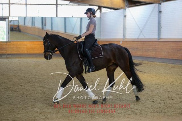 IMG_3506 | Deine Turnierfotos vom Reitturnier online kaufen: Dressur, Springen & Siegerehrung. Professionelle Pferdefotografie aus dem Rheinland – als Download & Print.Alternative: Turnierfotograf für den Pferdesport: Finde deine Fotos von Dressur- und Springturnier