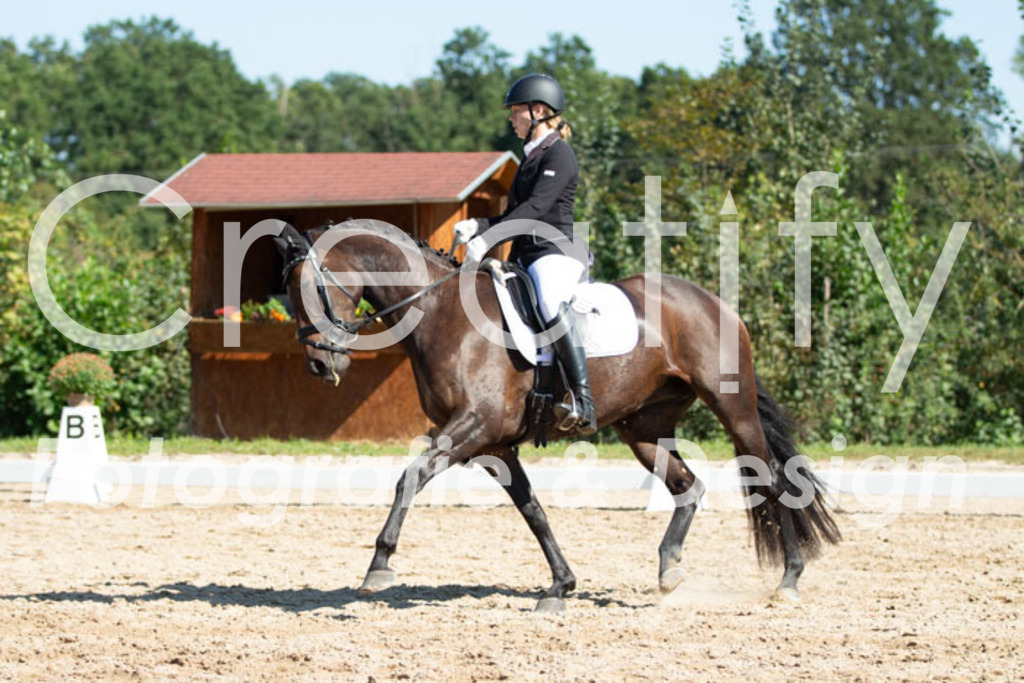 IMG_4461 | Creatify Fotografie