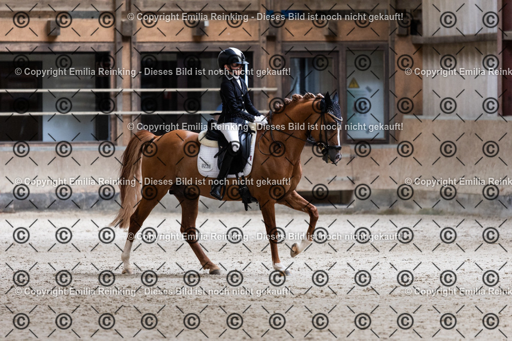 CL5A4069 | Emilia Reinking Fotografie - Realisiert mit Pictrs.com