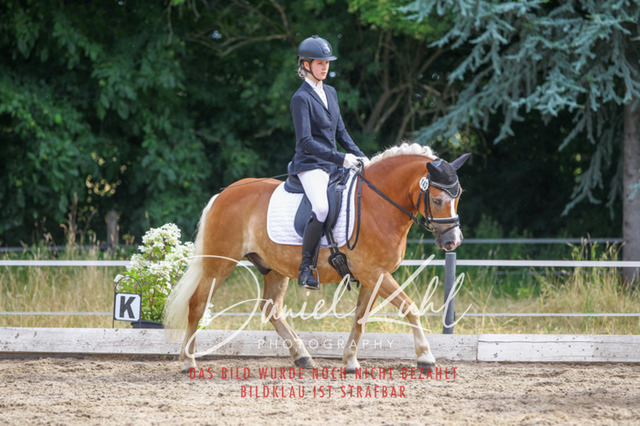 DKP45858 | Turniersportfotografie; Pferdefotografie; Dressurfotografie