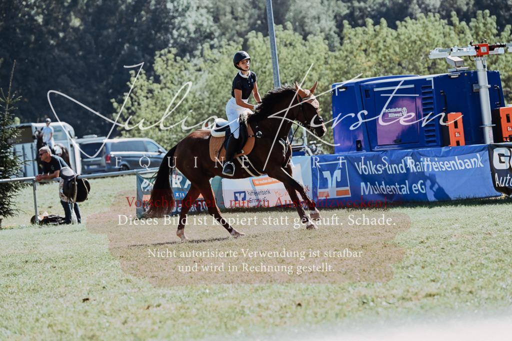 DSC_6575 | Pferde- und Turnierfotografie in Westsachsen. Pferdeportraits, Auftragszeichnungen und intuitive Kunst.