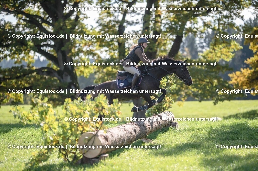 20251011_Jagd-Marbach_0422 | Foto: Thomas Hartig