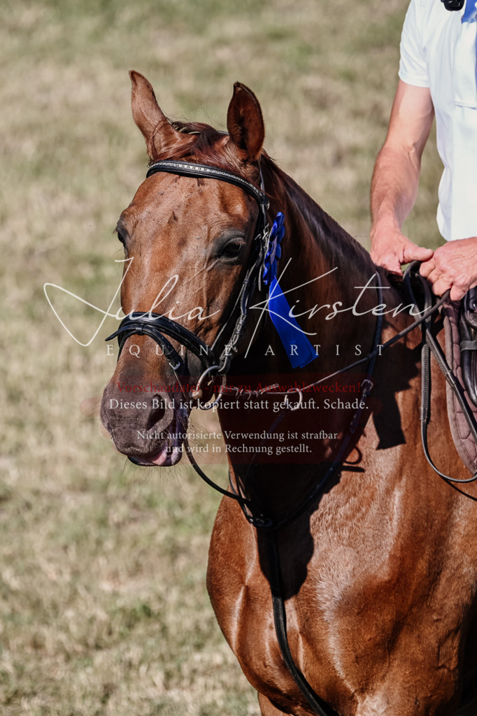 DSC_2616 | Pferde- und Turnierfotografie in Westsachsen. Pferdeportraits, Auftragszeichnungen und intuitive Kunst.