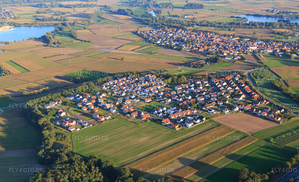 Luftbild: Ortsansicht von Westen im Ortsteil Hardtwald in Neupotz im Bundesland Rheinland-Pfalz in Deutschland. Foto: IMG_073126.jpg vom 23.09.2014 durch Werner Riehm/FLY-FOTO.deAuflösung des Originals: 5175 x 3151 px