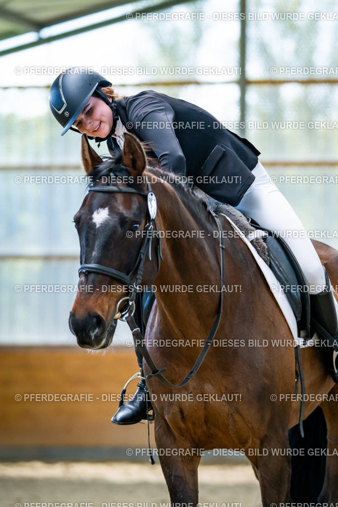 DSC05757 | Pferdegrafie