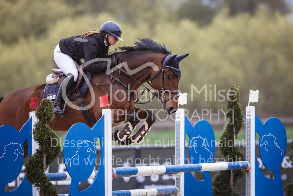 250417_Springpferde-L1-241 | Deine schönsten Turniermomente als professionelle Fotos! Entdecke hochwertige Pferdesport-Fotografie im Online-Shop. Jetzt Fotos finden & bestellen!