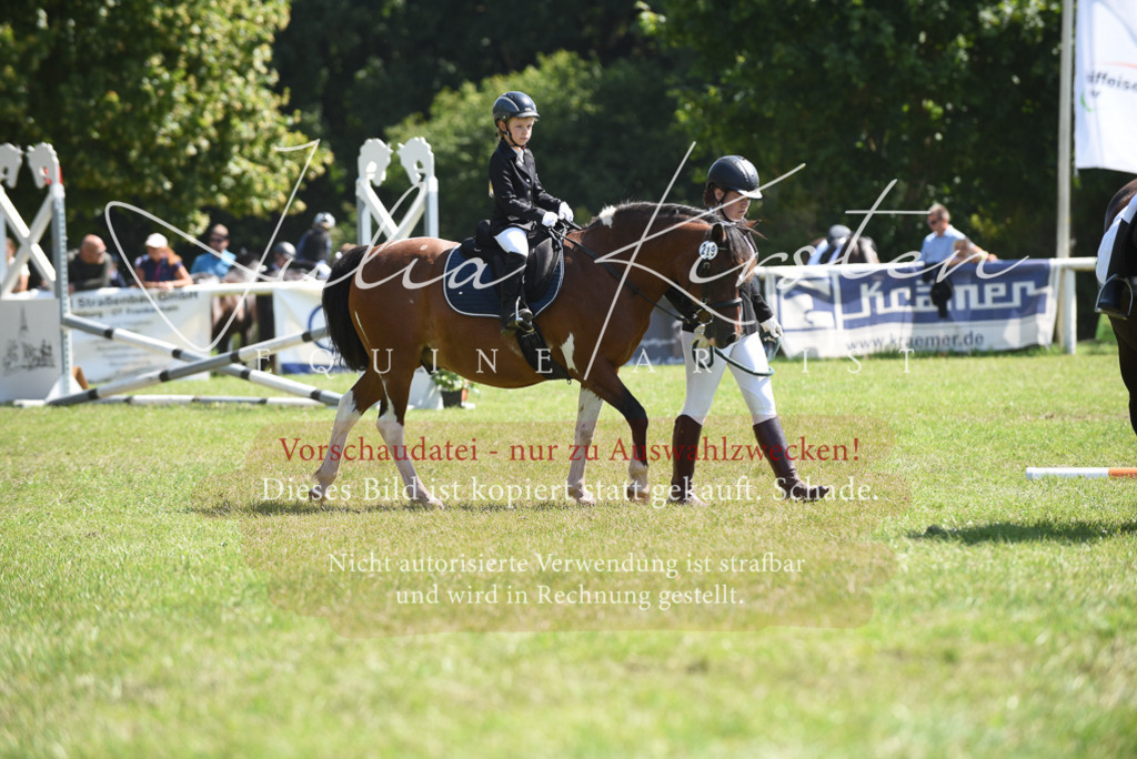 DSC_9801 | Pferde- und Turnierfotografie in Westsachsen. Pferdeportraits, Auftragszeichnungen und intuitive Kunst.