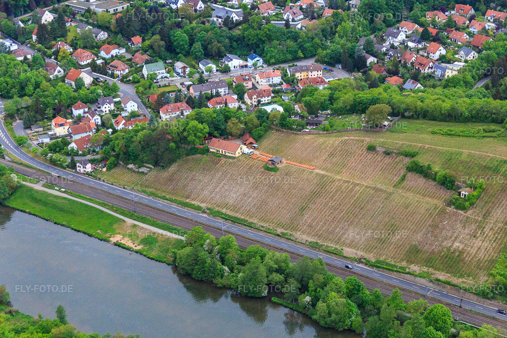 Luftbild: Weinberge der Mainleite am Mainufer in Schweinfurt im Bundesland Bayern in Deutschland. Foto: IMG_079038.jpg vom 14.05.2015 durch Werner Riehm/FLY-FOTO.de