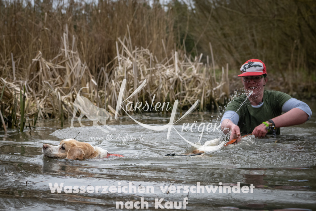 0847_ZZ93736 | kk-dogfotos