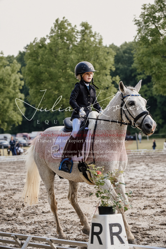 DSC_8392 | Pferde- und Turnierfotografie in Westsachsen. Pferdeportraits, Auftragszeichnungen und intuitive Kunst.